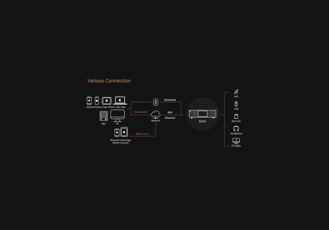 RS301_Schematics