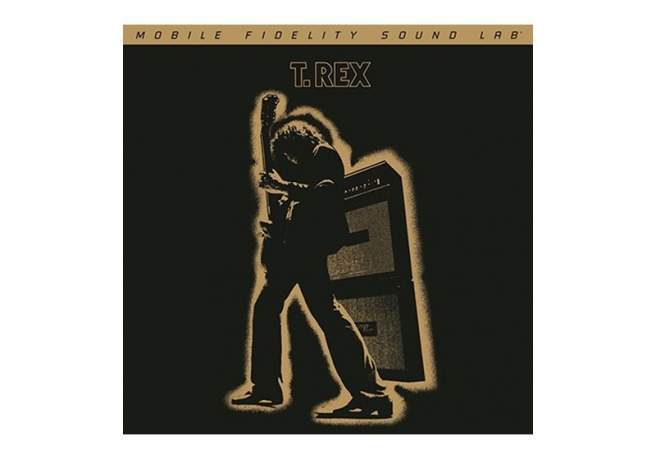 T_Rex_Electric_Warrior